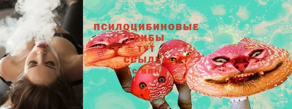амф Белоозёрский