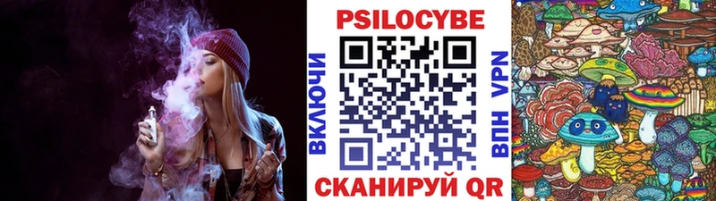 Галлюциногенные грибы Psilocybine cubensis  Маркс 
