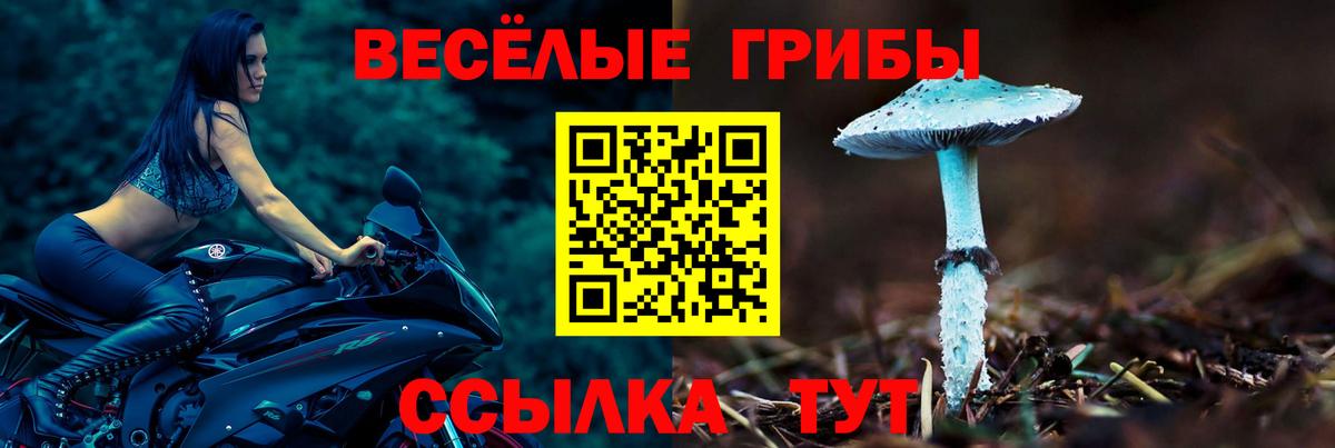 Галлюциногенные грибы Cubensis Маркс